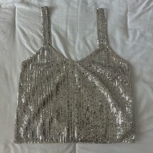 Zara Silver Sequins Top